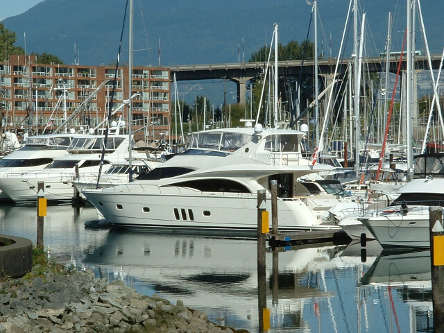 Plenty of room in the harbour